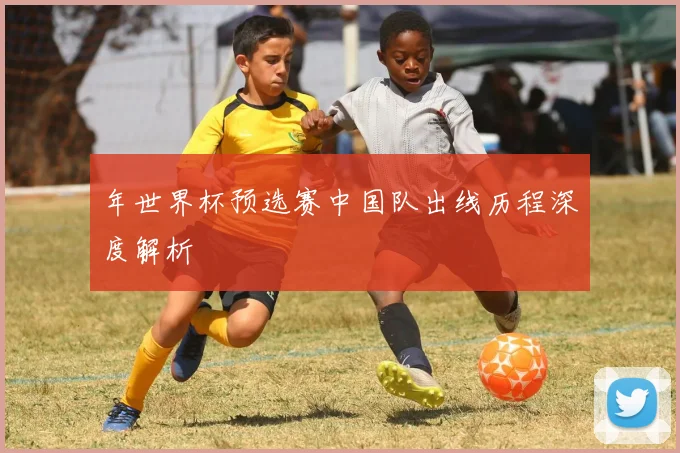 年世界杯预选赛中国队出线历程深度解析