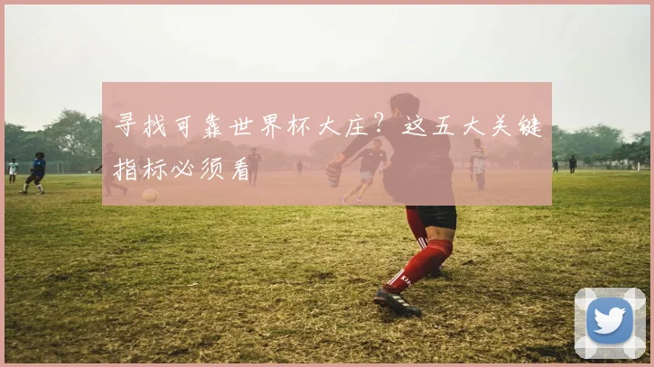 寻找可靠世界杯大庄?这五大关键指标必须看