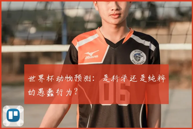 世界杯动物预测:是科学还是纯粹的愚蠢行为?