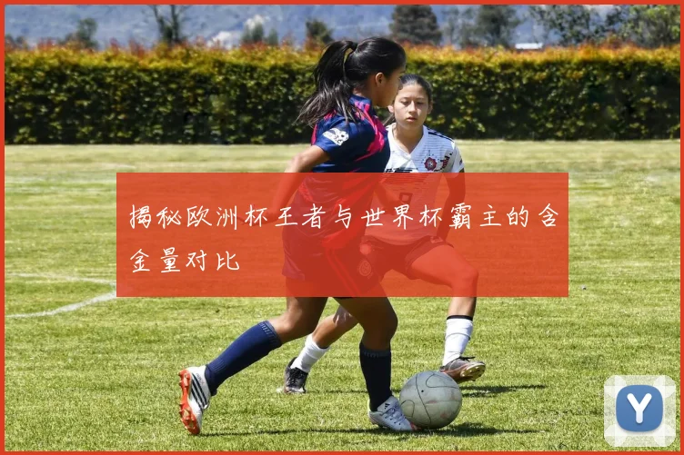 揭秘欧洲杯王者与世界杯霸主的含金量对比
