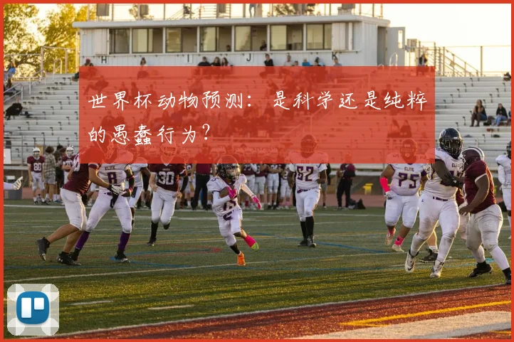 世界杯动物预测:是科学还是纯粹的愚蠢行为?