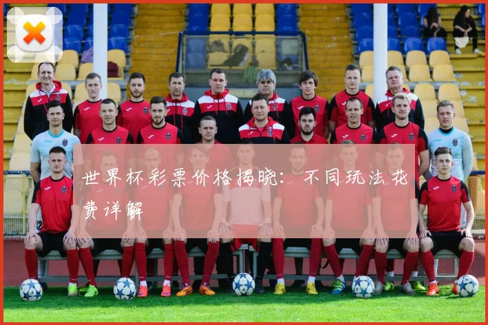 世界杯彩票价格揭晓:不同玩法花费详解