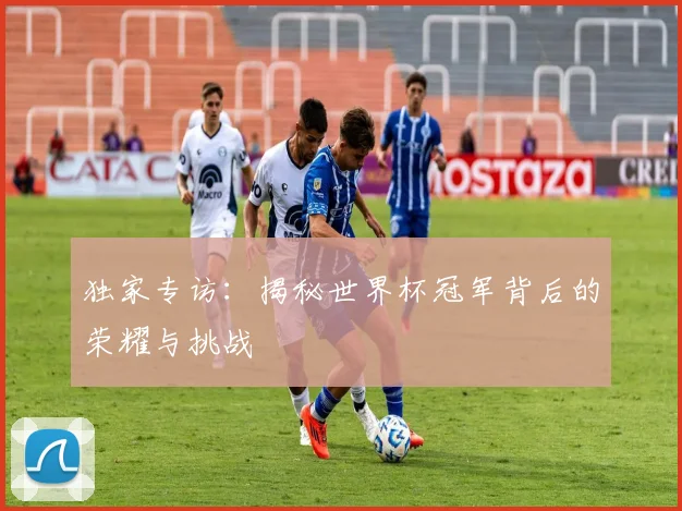 独家专访:揭秘世界杯冠军背后的荣耀与挑战
