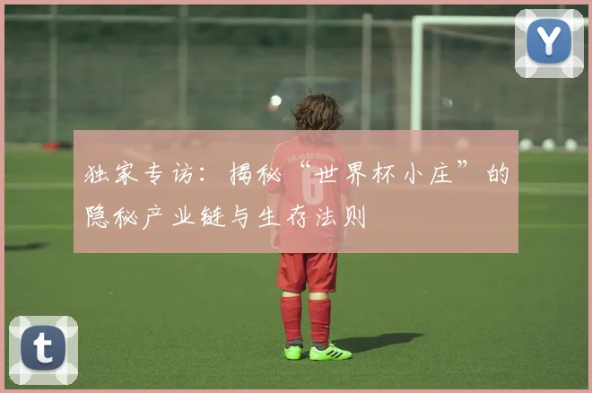 独家专访：揭秘“世界杯小庄”的隐秘产业链与生存法则
