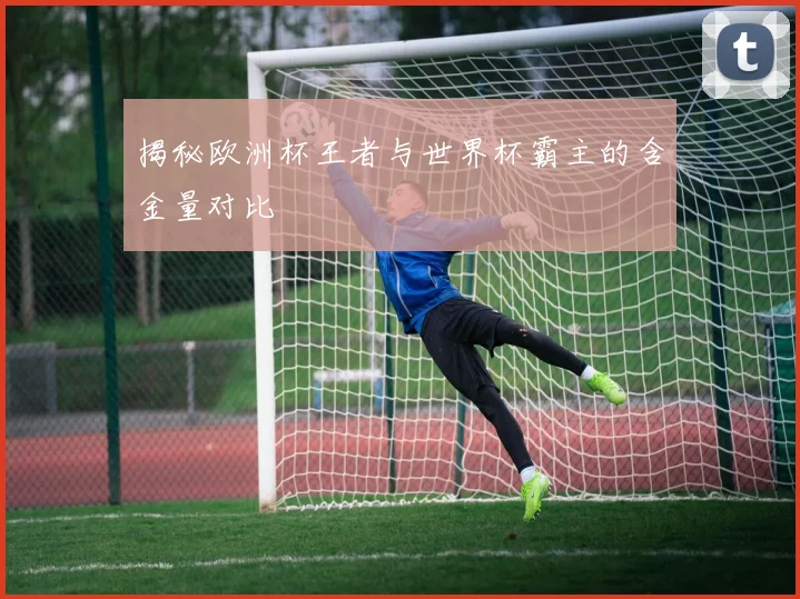 揭秘欧洲杯王者与世界杯霸主的含金量对比