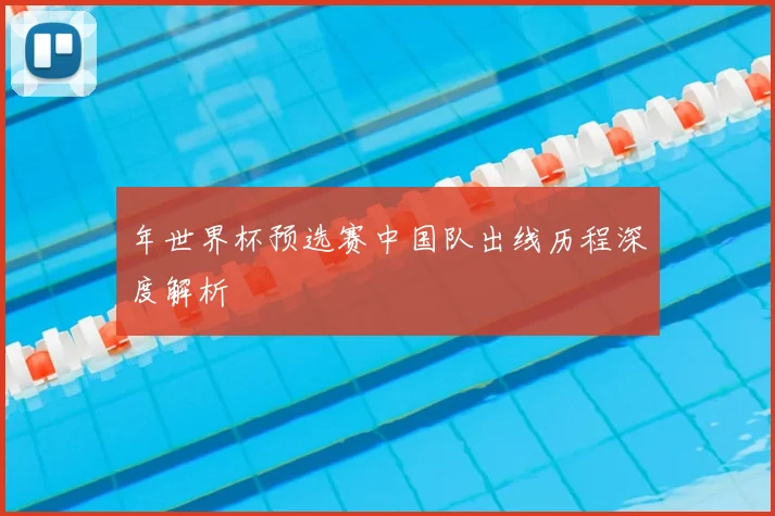年世界杯预选赛中国队出线历程深度解析
