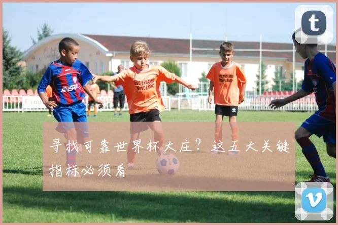寻找可靠世界杯大庄?这五大关键指标必须看