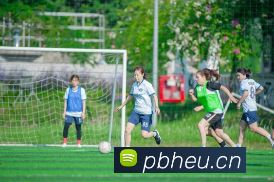 乐鱼手机在线登录入口APP 封面图